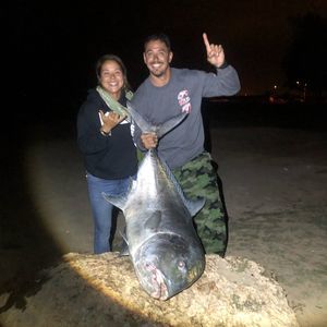 Meet your Posher, Jessie